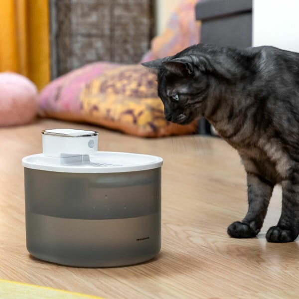 Laddningsbar kattfontän med sensor grå