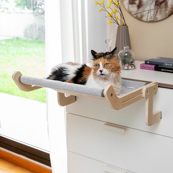 Kattvock grå