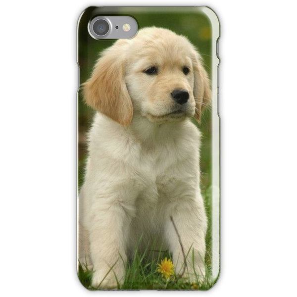 Skal till iPhone 8 Plus - Golden retriever