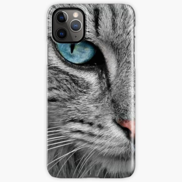 Skal till iPhone 11 Pro - Cute cat