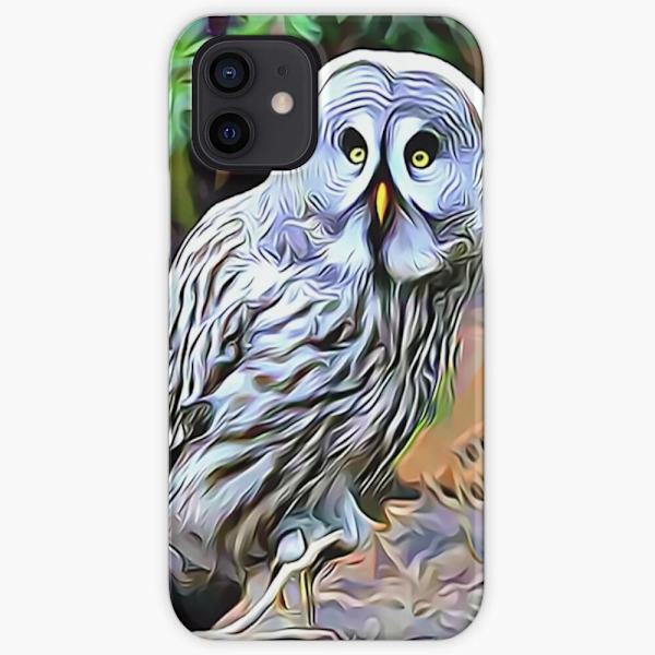 Skal till iPhone 12 Pro - Ugglor