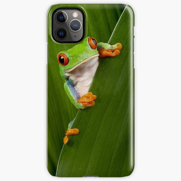 Skal till iPhone 11 Pro Max - Frog