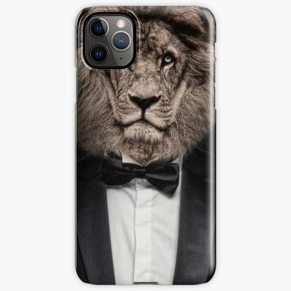 Skal till iPhone 12 - Be a true boss