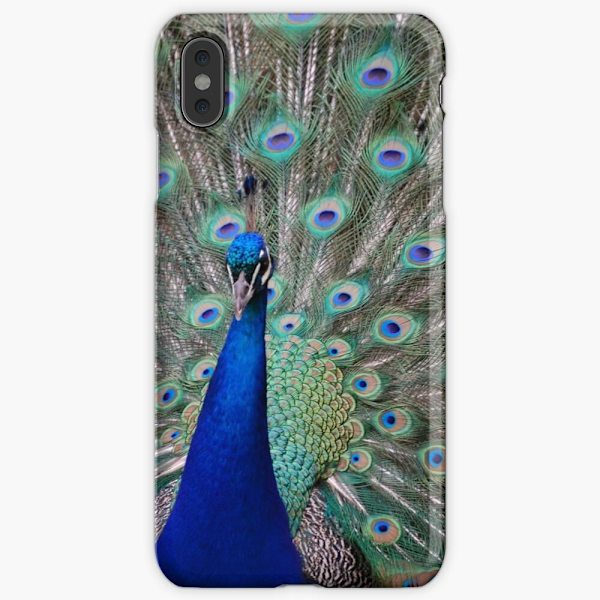 Skal till iPhone X/Xs - Påfågel