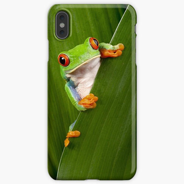Skal till iPhone Xs Max - Frog