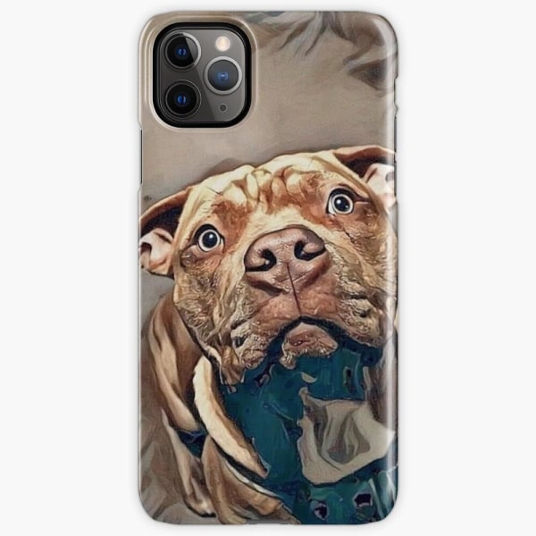 Skal till iPhone 11 Pro - Pitbull