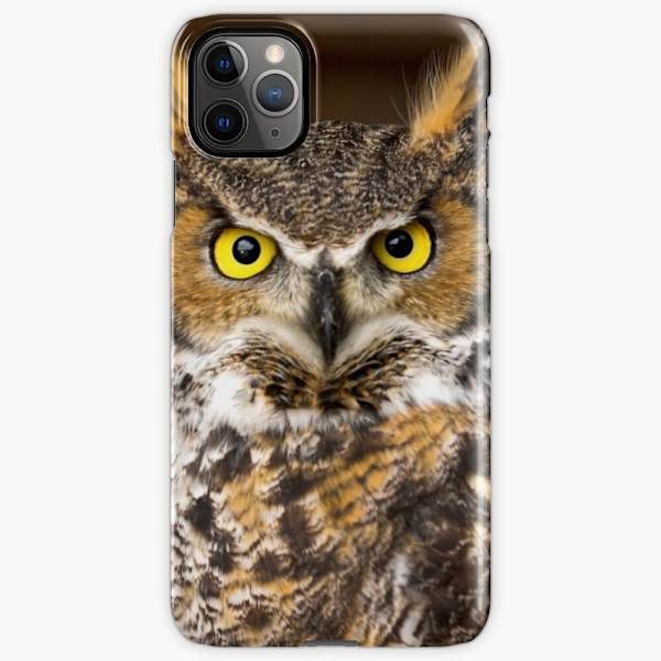 Skal till iPhone 12 Pro - Ugglor