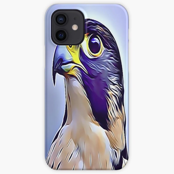 Skal till iPhone 12 - Falcon