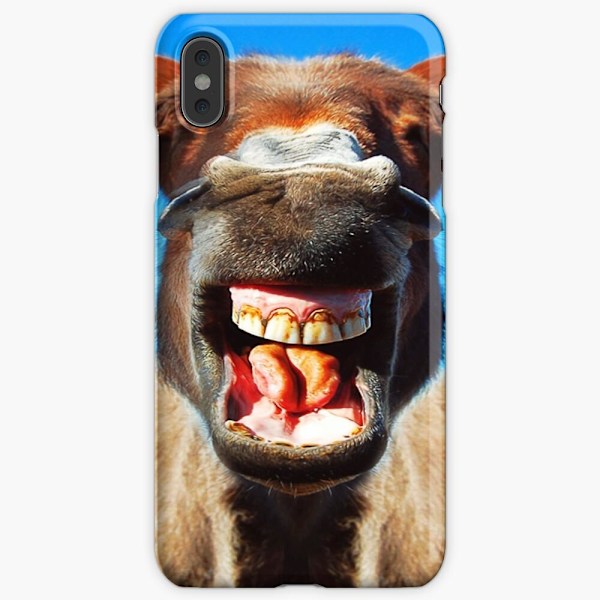Skal till iPhone Xs Max - Donkey Smiley