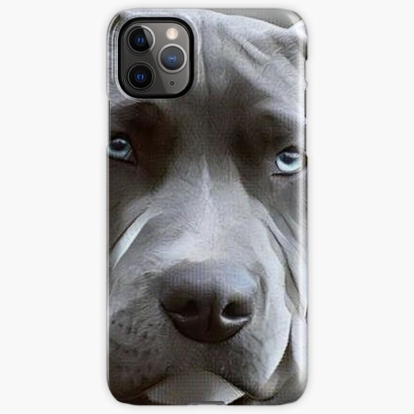 Skal till iPhone 11 Pro - Pitbull