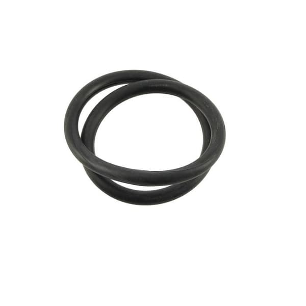 O-ring för elektrod Ei W151281 R0738500 - Poolutrustning Diverse - O-ringar