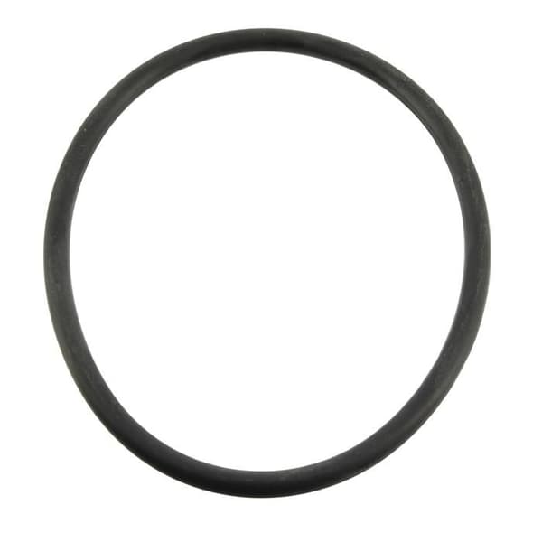 O-ring för elektrod Ei W151281 R0738500 - Poolutrustning Diverse - O-ringar