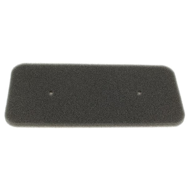 Filter svamp 40006731 - torktumlare