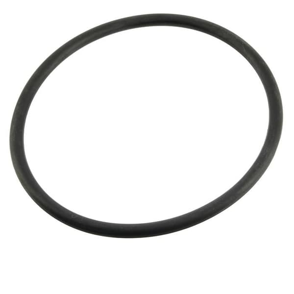 O-ring för elektrod Ei W151281 R0738500 - Poolutrustning Diverse - O-ringar