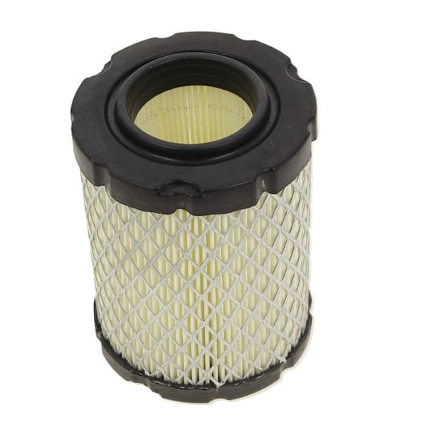 Luftfilter 796032, 591583, 992377 - gräsklipparmotor