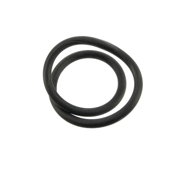 O-ring för elektrod Ei W151281 R0738500 - Poolutrustning Diverse - O-ringar