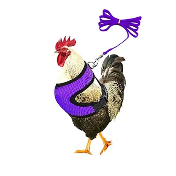 Kyllingesele med snor, justerbar kyllingesnor til høns, ænder, hvalpe (lilla, medium) Purple