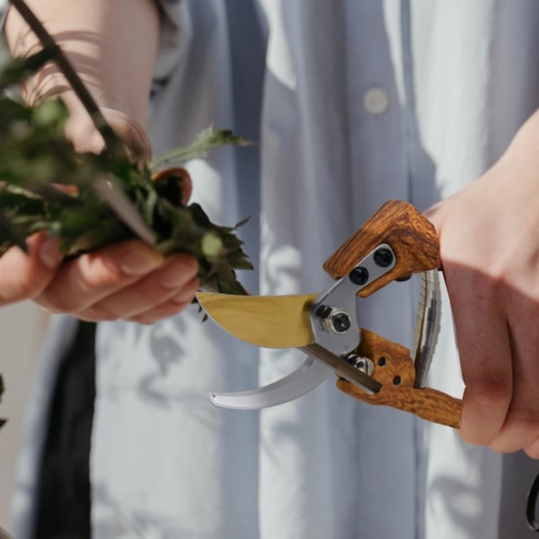 Hagesaks, profesjonell beskjæringssaks med skarpt og rustfritt stålblad, hagesaks, amboltsaks ergonomisk form hagesaks