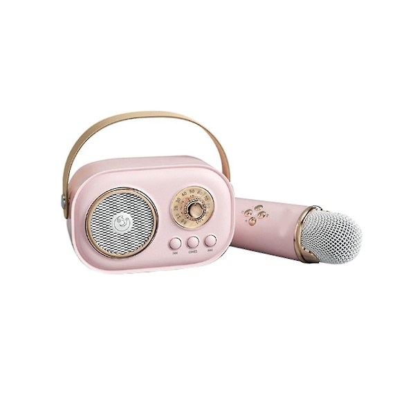 Mini trådløs Bluetooth lyd hjemme sang karaoke integrert mikrofon høyttaler stereo hjem Ktv Se
