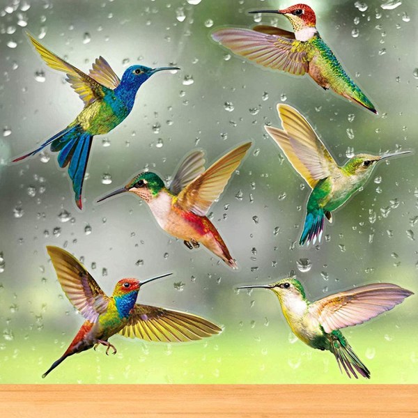 Anti-kollisionsvinduesklistermærke 6 stykker Hummingbird vinduesklistermærke Fugle vinduesklistermærke Glasklistermærke