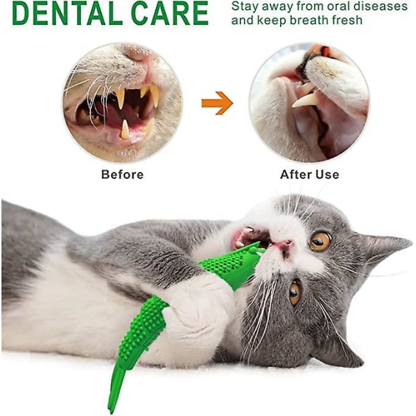 Interaktiva kattleksaker Katt Katt Tuggande Tandborste Behandling Leksak Antibit Pet Leksak Rengöring Tänder Tandvård 2 Styck