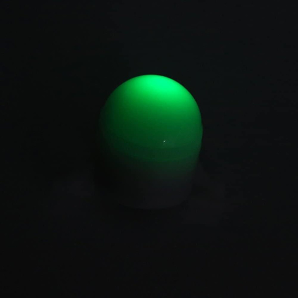 Havsfiske LED Spötoppsats Nattljus Strike Alert Glow Stick Bite Alarm (2st, Vit)