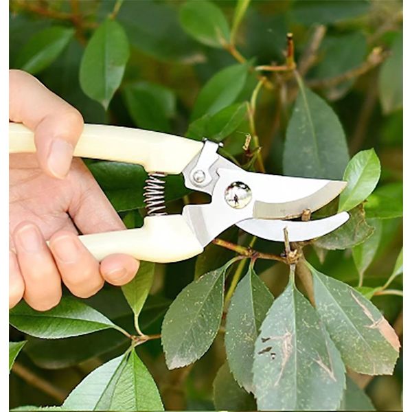Havesaks, beskæresaks og beskæringssaks med sikkerhedslåseanordning, bypass-beskærere til haveplanter, blomster, frugter, grene, elfenben