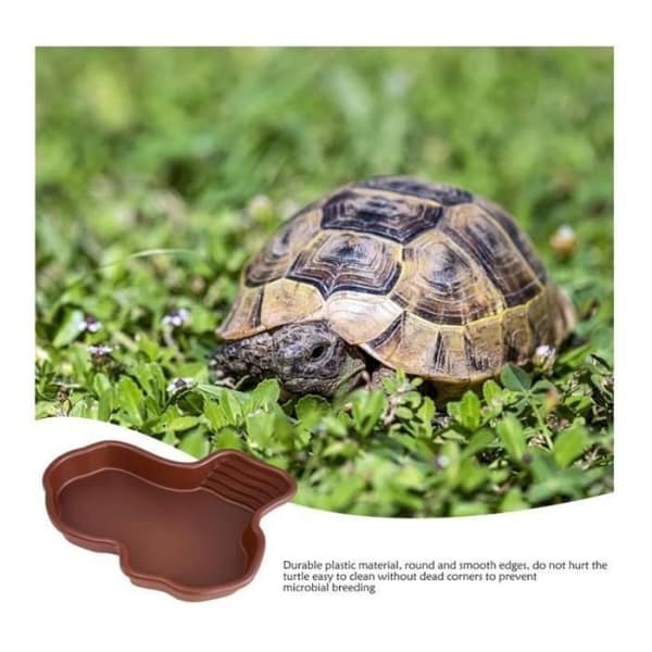 Reptilbadkar, stor sköldpaddspool, reptilpool med badplattform, gecko-djurpool