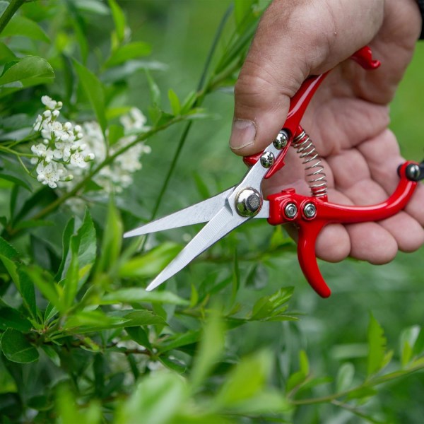 Ergo Gardening Snips – Stark, lättviktig trädgårdssax idealisk för krukväxter och blomsterarrangemang – Rakbladsvassa, fickstora sekatörer - SK5