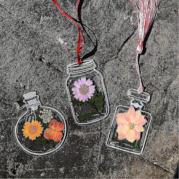 30 st transparenta torkade blomsterbokmärken DIY handgjorda bokmärken