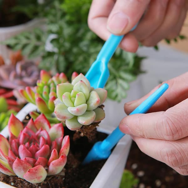 Inomhusväxtjordspade - Plast Mini Trädgård Växtvård Spade Handverktyg Omplantering Suckulent Odling Grävspadar Kit Blå