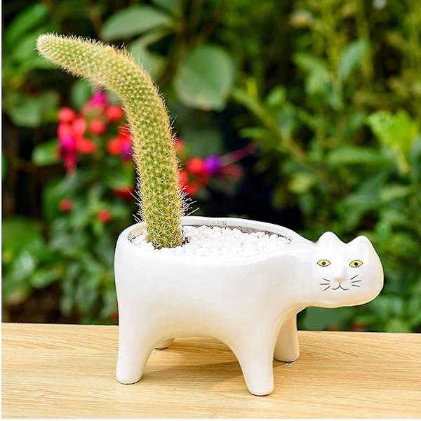 Succulenta växter Krukor av 2 färger Keramisk katt, Dekorativ keramisk blomkruka med dränering