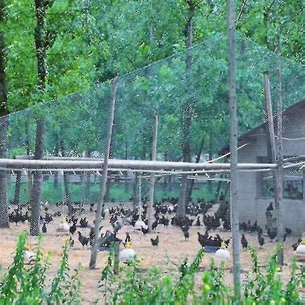 Tungt anti-fuglenett Netting Net Hagegjerde og avlinger Beskyttende gjerde Mesh Anti Fugl Hjort Katt Hund Kylling