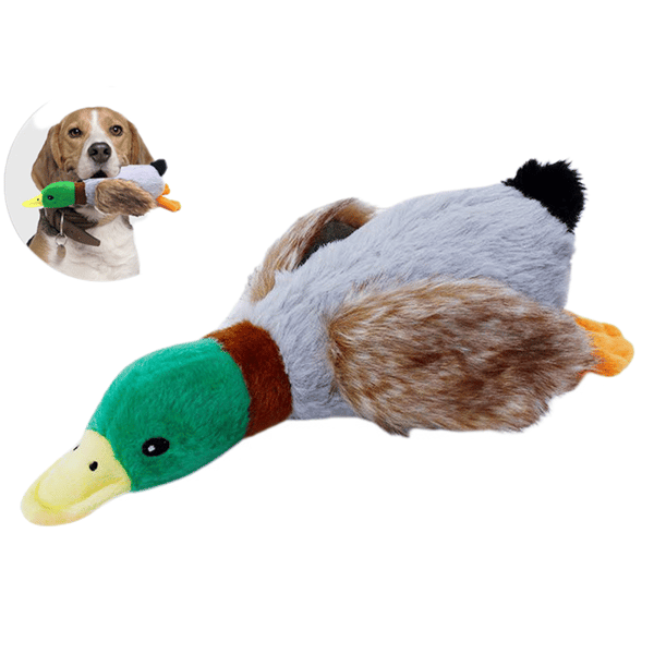 Petface Quacking and Squeaking Duck Plys til hunde
