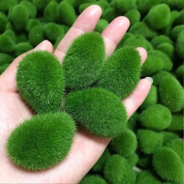 Kunstig Mossten – Blød PVC & Flocking – til Fehave & Terrarium – Dekorativ 8cm