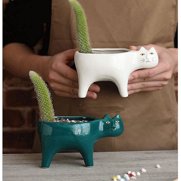 Succulenta växter Krukor av 2 färger Keramisk katt, Dekorativ keramisk blomkruka med dränering