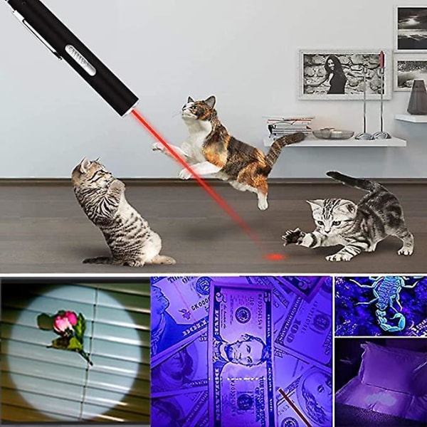 Interaktiv katteleke, 3 i 1 treningsverktøy for katt og hund, interaktiv katteleke