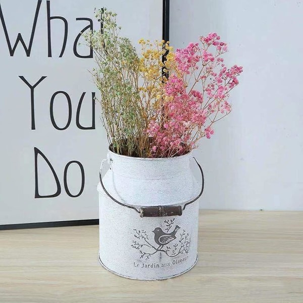 2 kpl Shabby Chic -metallimaitoastiaa, galvanoitu kukkamaljakko, maalaismainen farmhouse-ranskalainen ämpäri, kodinsisustus, ruukkumaljakko, kahvalla varustettu koristeellinen kukka-ämpäri Ho