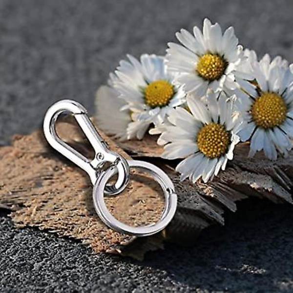 Metallnyckelring Nyckelring, Metallkarbinhake Nyckelring Nyckelhållare Nyckelringar Hummerklor Snurrklips Nyckelkedja För Män Kvinnor(5st, Silver)