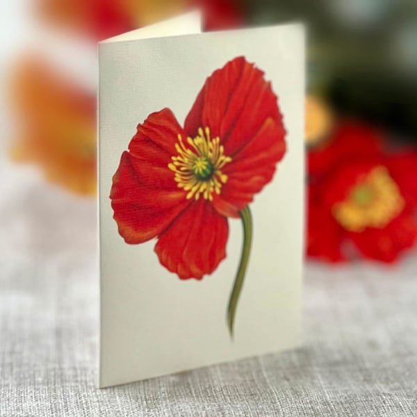 Freshcut Paper Pop Up-kort, French Blooms, 12 tum Livsstorlek Forever Flower Bukett 3D Popup Gratulationskort med Tomt Notkort och Kuvert French Blooms