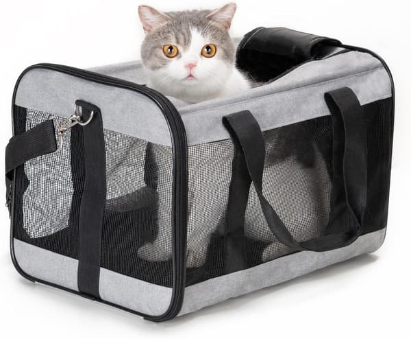 Husdjursbur, mjuk kattbur, hopfällbar, hållbar, flygbolagsgodkänd, resevänlig (42*28*28 cm, grå) light gray