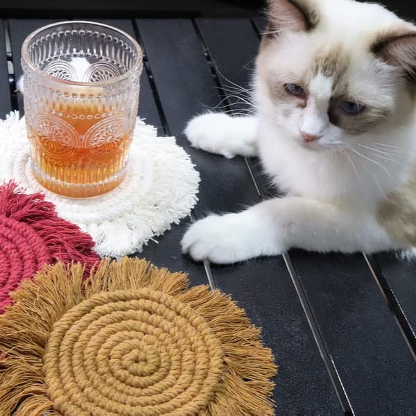 Boho Coasters Sæt med 2, Absorberende Vævede Drikkeunderlag til Sofabord, Bondegårdsindretning, Makrame Coasters til Krus og Kopper - Hou