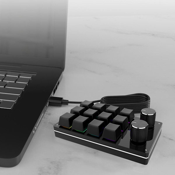 12 Taster 2 Knapper Liten Gaming Tastatur Diy Programmerbar Tastatur Med Usb-kabel