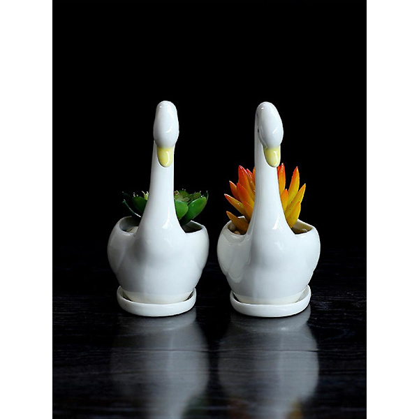 Hvid Keramisk Blomsterpotte, Svane Blomsterpot Sukkulent Blomsterkrukke Svaneformede Potter