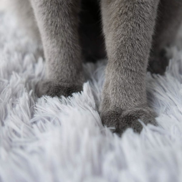 Pelseselvvarmende kattesengmatte for katter små hunder, funksjon 2 i 1 mykt plysjteppe for innendørs katter hunder fluffy kjæledyrseng (grå)