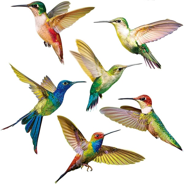 Antikollisjonsvindusklistremerke 6 deler Hummingbird vindusklistremerke Fugler vindusklistremerker Glassklistremerke