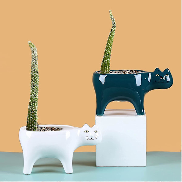 Succulenta växter Krukor av 2 färger Keramisk katt, Dekorativ keramisk blomkruka med dränering