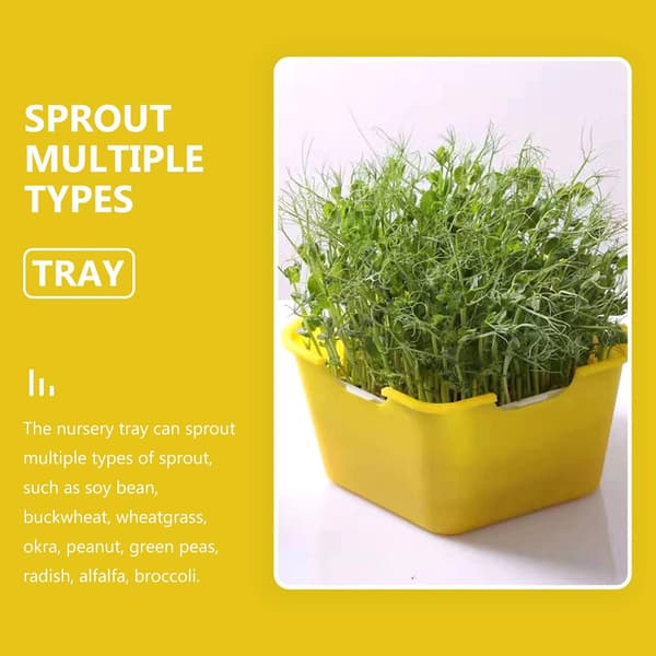 Veggie Trays Seeding Nursery Tray 3pcs Bean Sprout Container Sprouter Germinator Bean Sprouts Machine