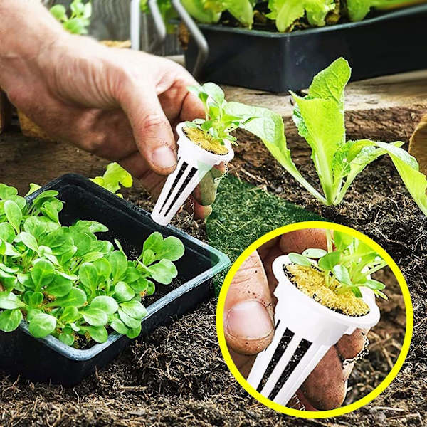 50-pack odlingskorgar ersättning för hydroponiskt odlingssystem frökapselkorgar för inomhusträdgård