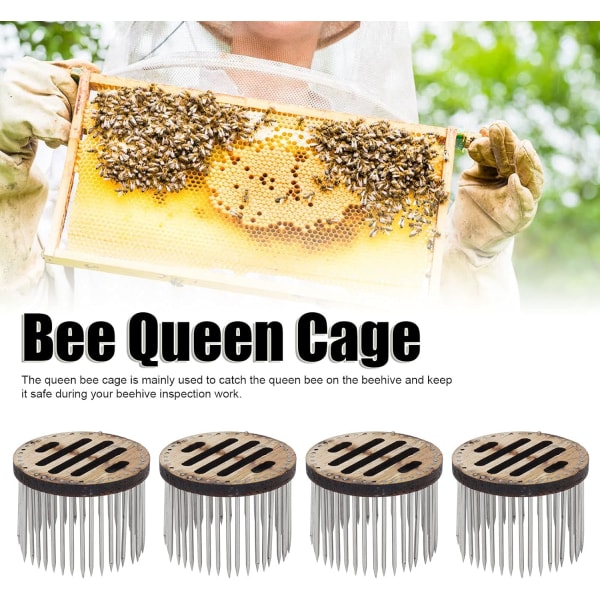 Queen Bee Catcher, Bee Queen Cage-nålformad Enkel operation för biodling för biodling